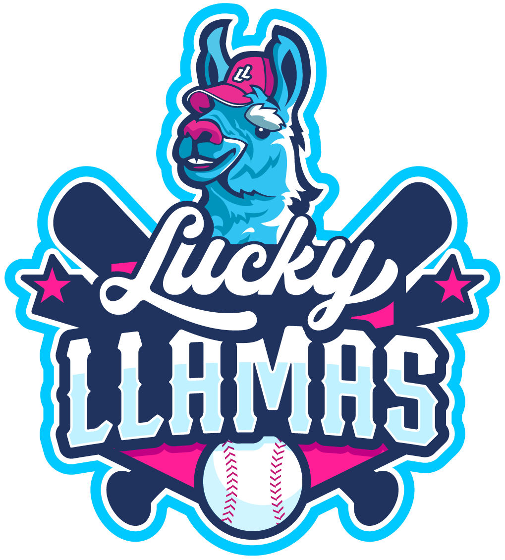 Boom Ball Lucky Llamas